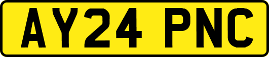 AY24PNC