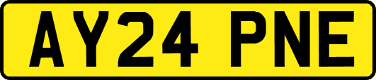 AY24PNE