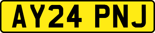AY24PNJ