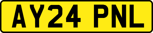 AY24PNL