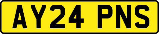 AY24PNS