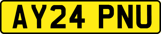 AY24PNU