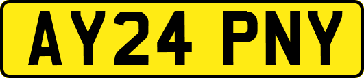AY24PNY