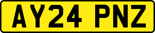AY24PNZ