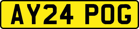 AY24POG