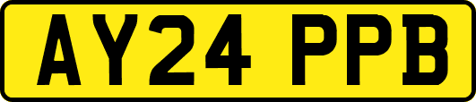 AY24PPB