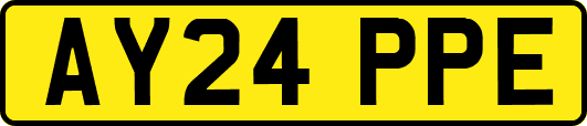 AY24PPE