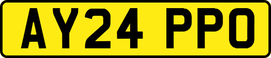 AY24PPO