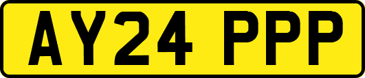 AY24PPP