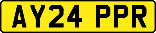 AY24PPR