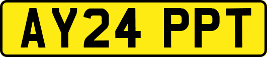 AY24PPT