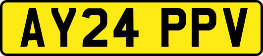 AY24PPV