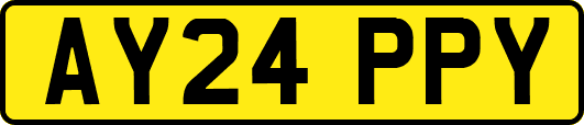 AY24PPY