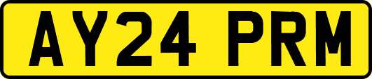 AY24PRM