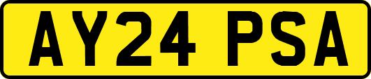 AY24PSA