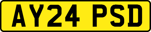 AY24PSD