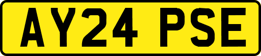 AY24PSE