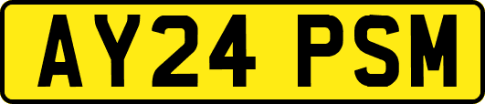 AY24PSM