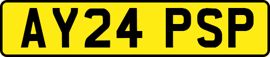 AY24PSP