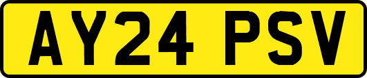 AY24PSV