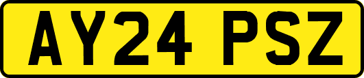 AY24PSZ