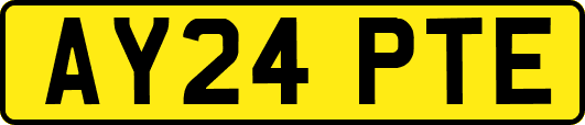 AY24PTE