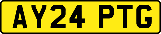AY24PTG
