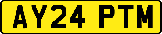 AY24PTM