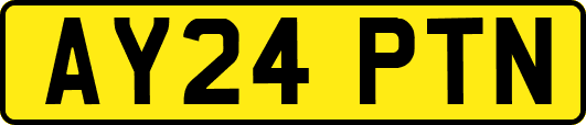 AY24PTN