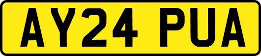 AY24PUA