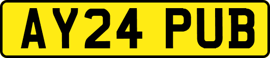 AY24PUB