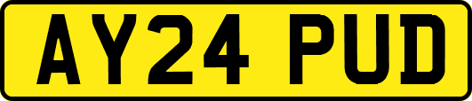 AY24PUD