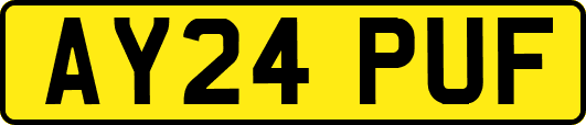 AY24PUF