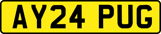 AY24PUG