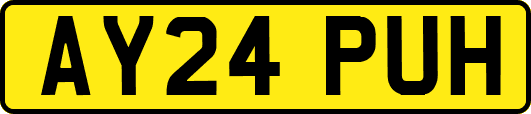 AY24PUH
