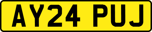 AY24PUJ