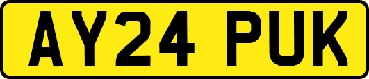 AY24PUK