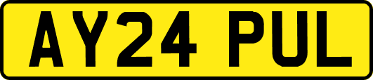 AY24PUL
