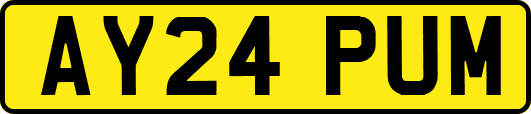 AY24PUM