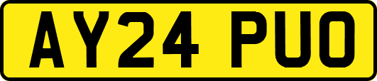 AY24PUO