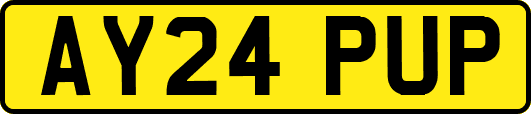 AY24PUP