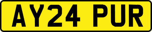AY24PUR