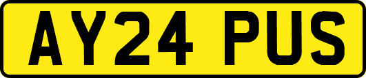 AY24PUS