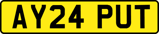 AY24PUT
