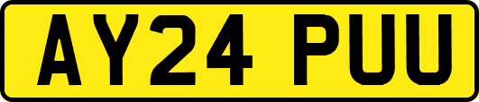 AY24PUU