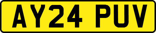 AY24PUV