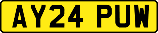 AY24PUW