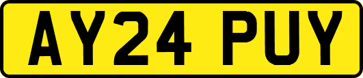 AY24PUY