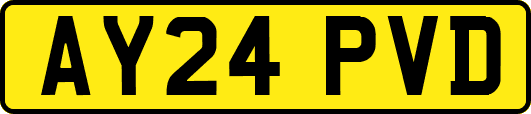 AY24PVD