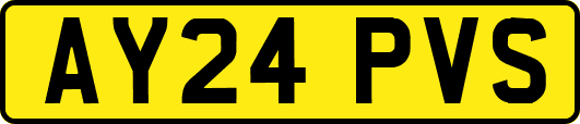 AY24PVS